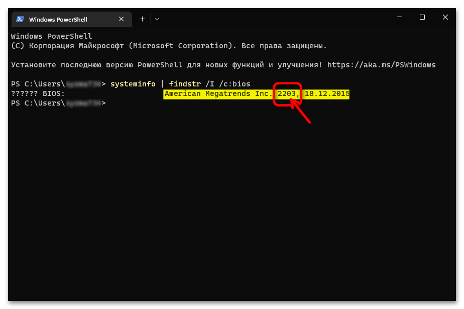 Как узнать версию БИОС в Windows 11 14
