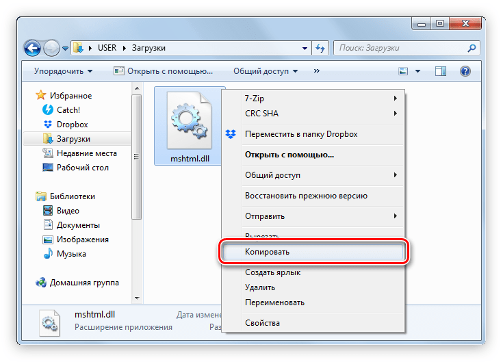 копирование библиотеки mshtml.dll в проводнике