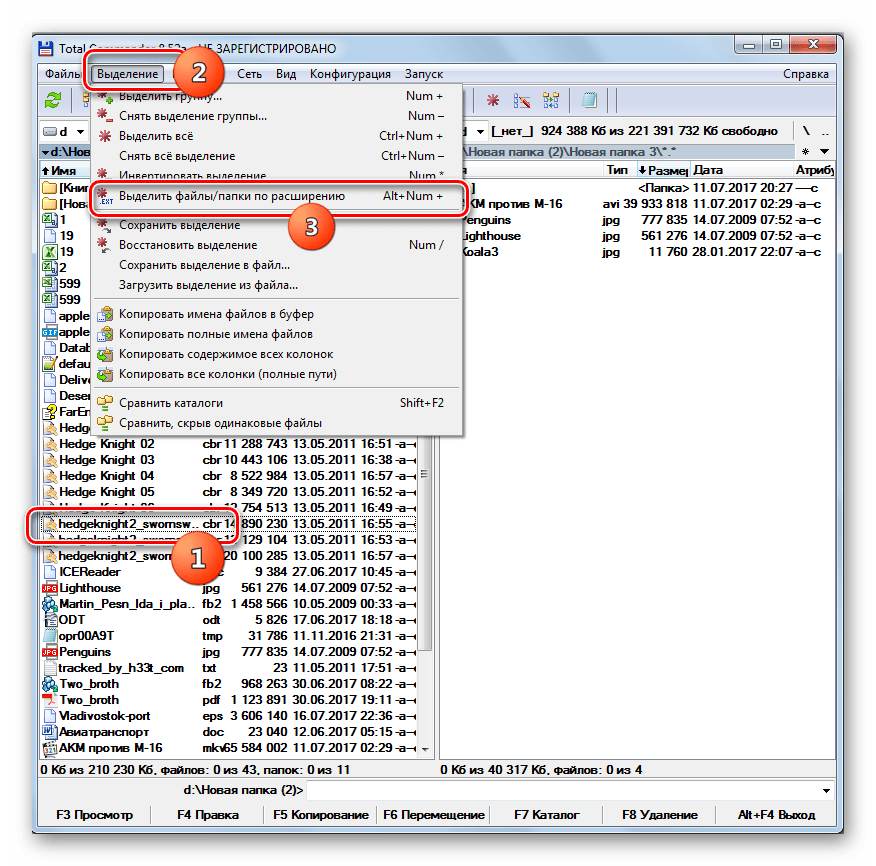 Выделение файлов по расширению в программе Total Commander