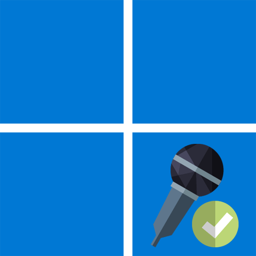 Как проверить микрофон на ноутбуке с Windows 11