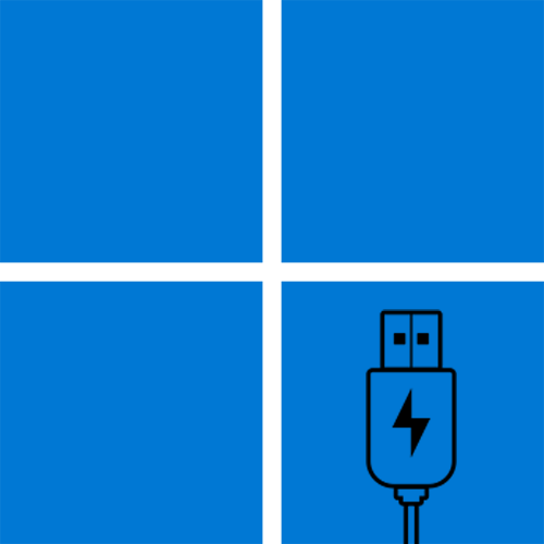 Нестача електроживлення USB-порту в Windows 11