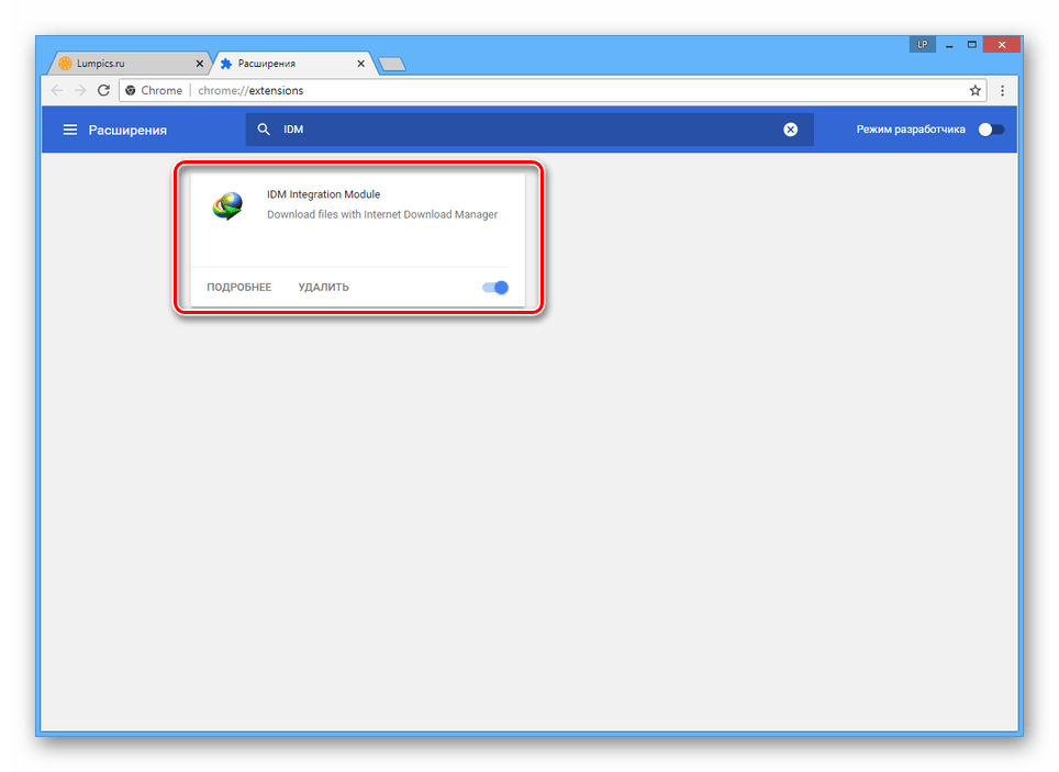 Правильно установленное расширение IDM в браузере