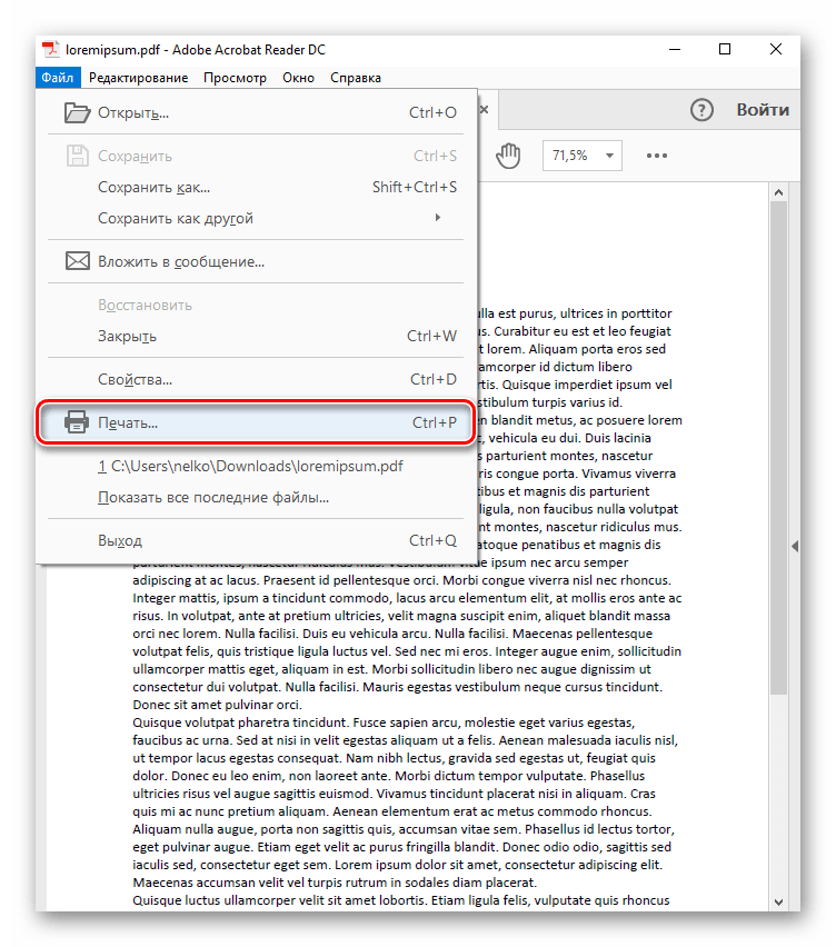 Открытие меню печати в Adobe Acrobat Pro DC