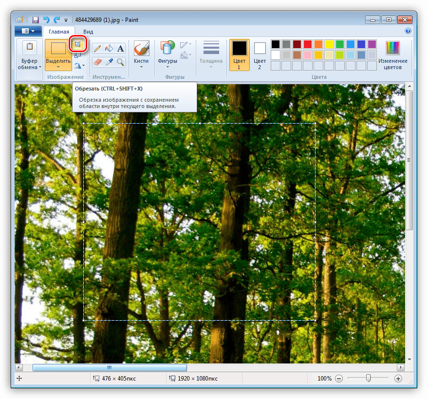 Выполнение обрезки фотографии по выделенной области в Paint