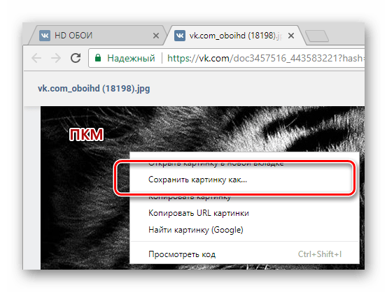Процесс сохранения фотографии через меню ПКМ в интернет обозревателе