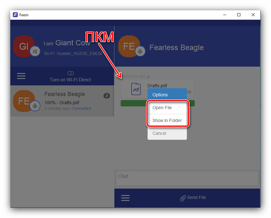 Открытие полученных данных на ПК для передачи файлов с Android на компьютер посредством программы Feem
