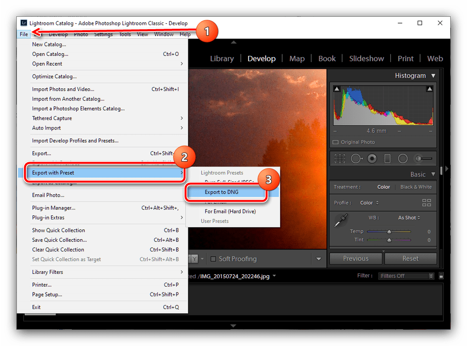 Сохранить пресет как DNG в Adobe Lightroom Classic для экспорта в Mobile