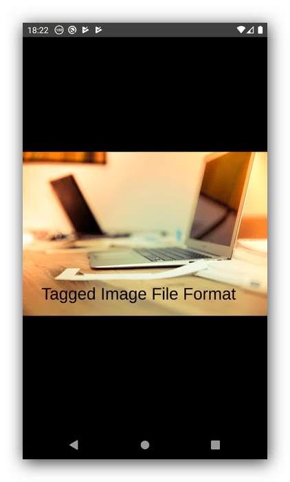 Полноэкранный просмотр файла в TIFF Photo Viewer Free для открытия TIFF на Android