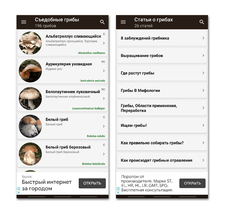 Справочник грибника на Android