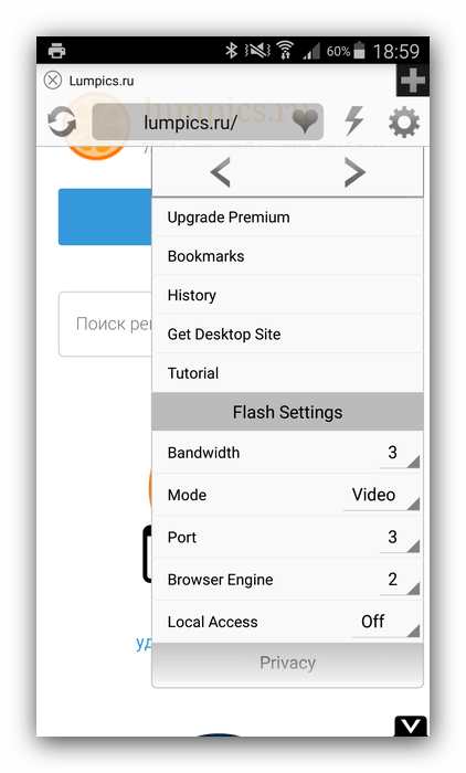 Photon Browser с поддержкой Flash