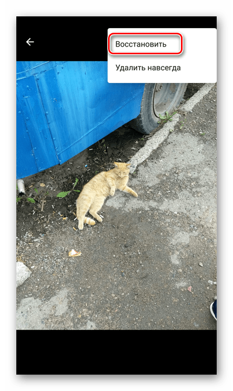 Восстановление видео в Гугл Фото