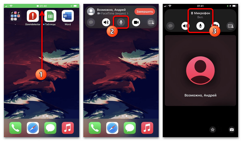 Как включить микрофон на Айфоне_008