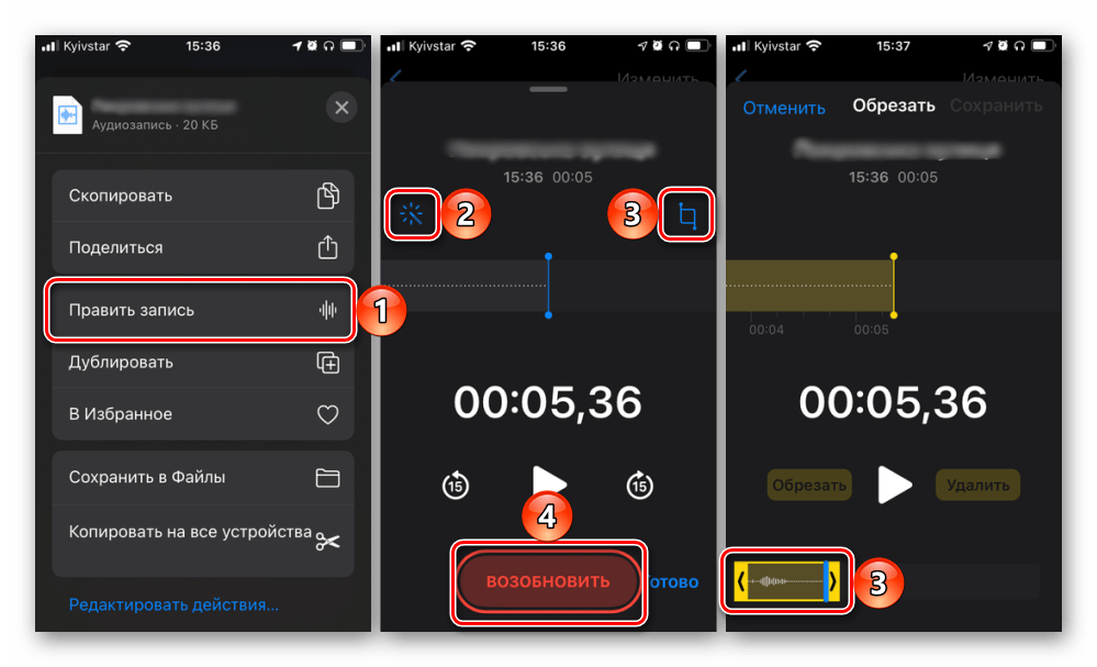 Редактирование аудиозаписи в приложении Диктофон для iPhone