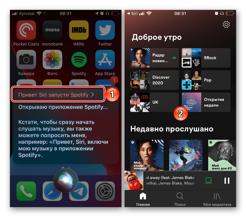 Запуск приложения Spotify с помощью голосового ассистента Siri в настройках iOS на iPhone