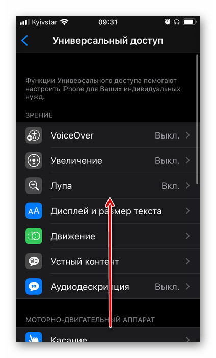 Пролистывание параметров Универсального доступа для голосового ассистента Siri в настройках iOS на iPhone