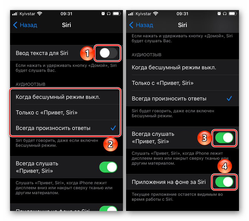 Изменение параметров Универсального доступа для голосового ассистента Siri в настройках iOS на iPhone