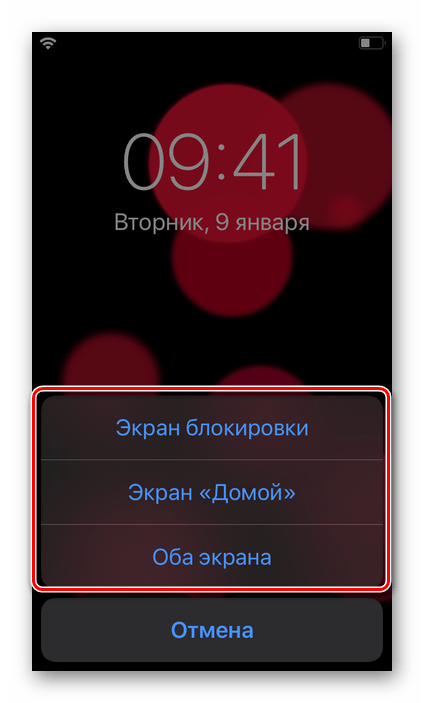 Выбор варианта установки живых обоев в Настройках iOS на iPhone