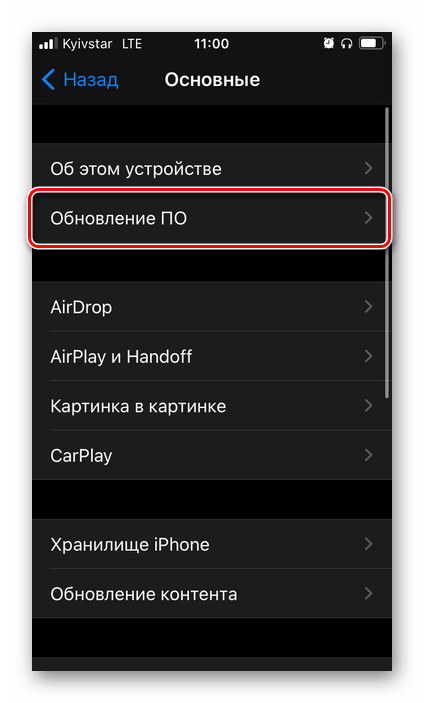 Открыть подраздел Обновление ПО в настройках iOS на iPhone