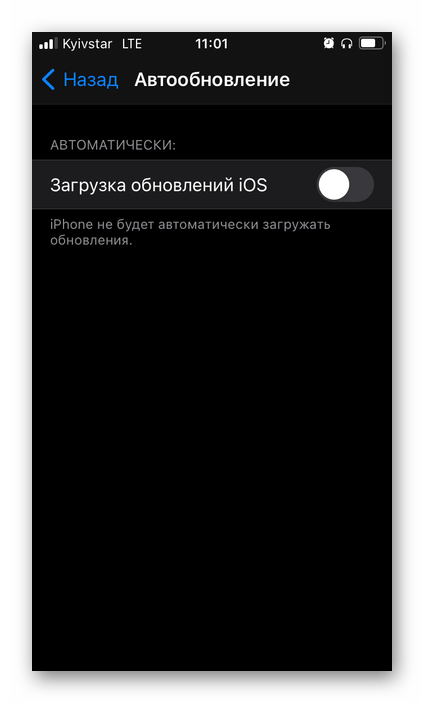 Результат отключения автоматической загрузки и установки обновлений в настройках iOS на iPhone