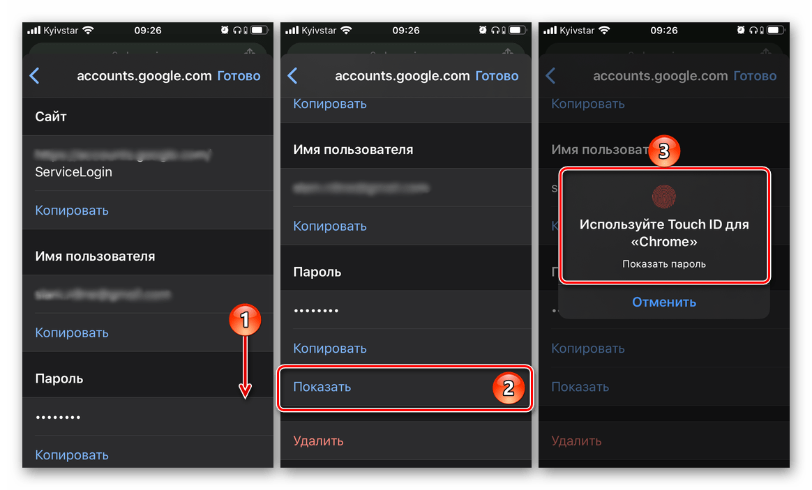Просмотр сохраненного пароля от сайта в браузере Google Chrome на iPhone