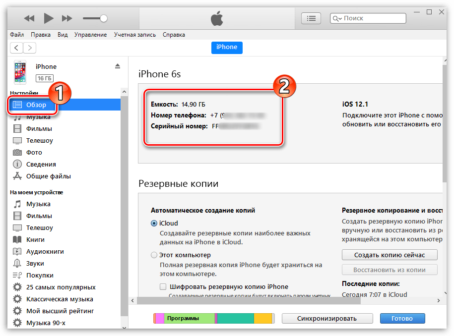 Общая информация об iPhone в программе iTunes