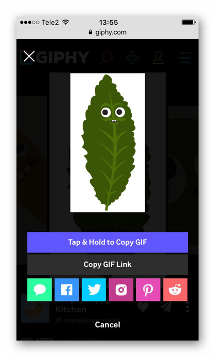 Появление окна для полного просмотра гифки на сайте Giphy в браузере Safari на iPhone