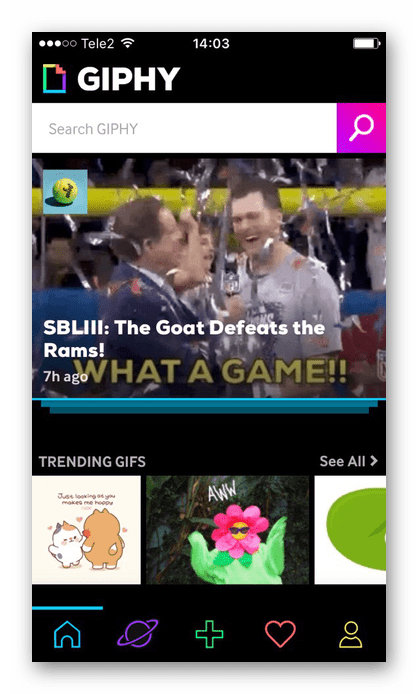 Поиск нужной гифки в приложении Giphy на iPhone