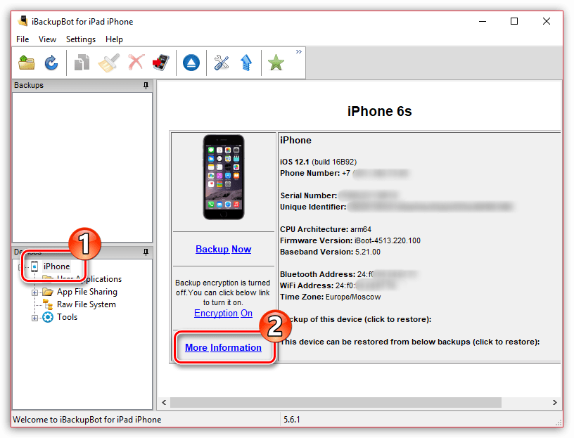 Информация об iPhone в программе iBackupBot