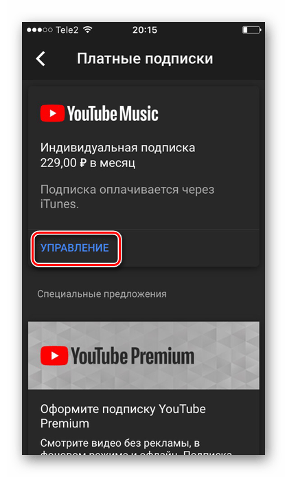 Раздел YouTube Music в настройках приложения на iPhone