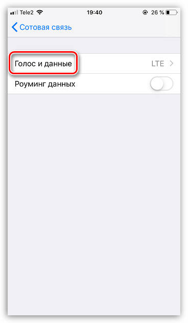 Голос и данные на iPhone