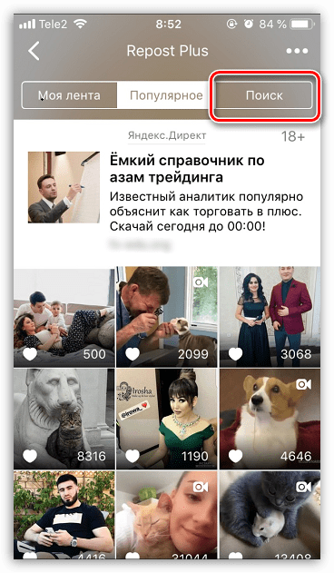 Поиск аккаунта в приложении Insta Plus для iPhone