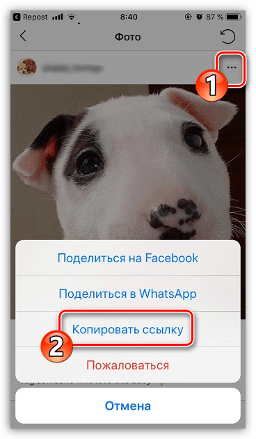 Копирование ссылки на публикацию в Instagram для iPhone