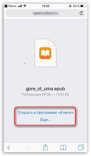 Открытие скаченной книги в iBooks на iPhone