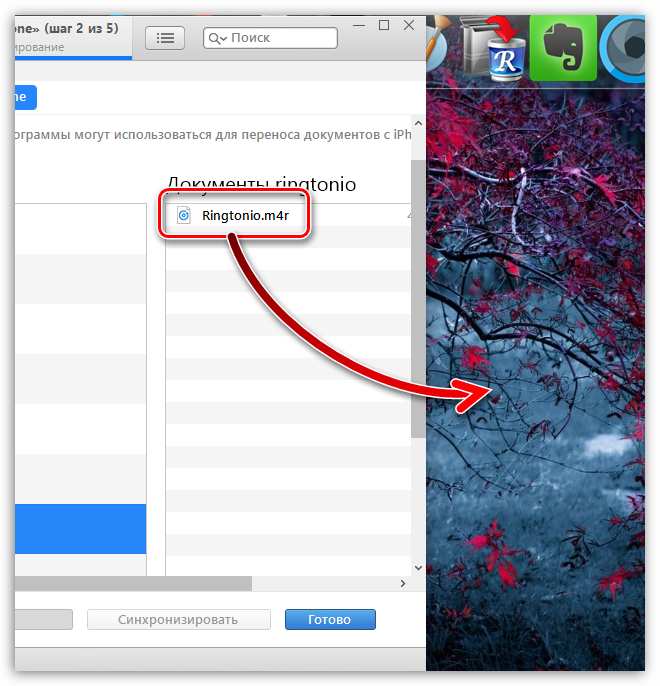 Экспорт рингтона из iTunes на компьютер