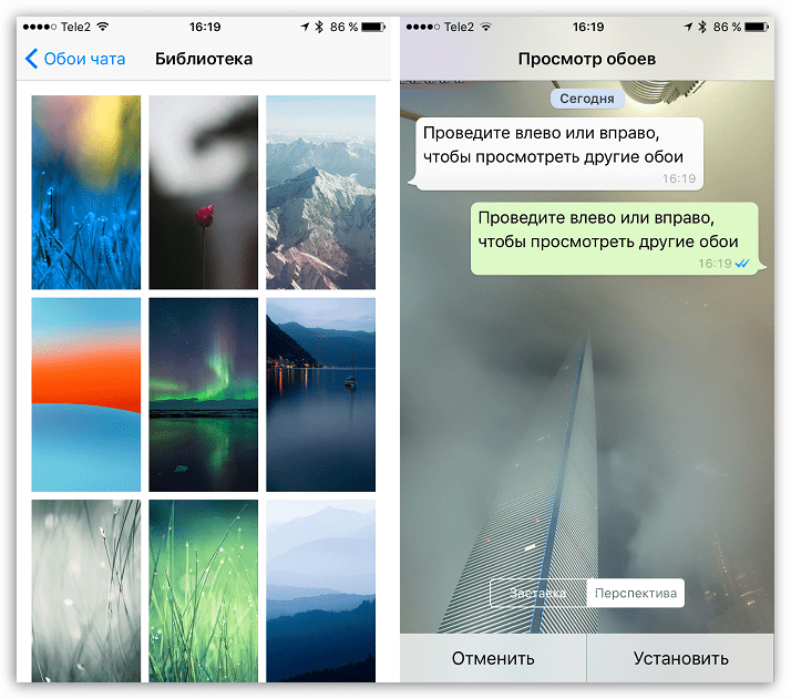 Обои для чатов в WhatsApp для iOS