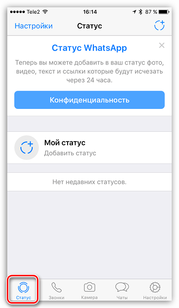 Статусы в WhatsApp для iOS