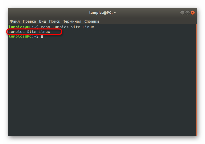 Результат использования команды echo в Linux без дополнительных опций