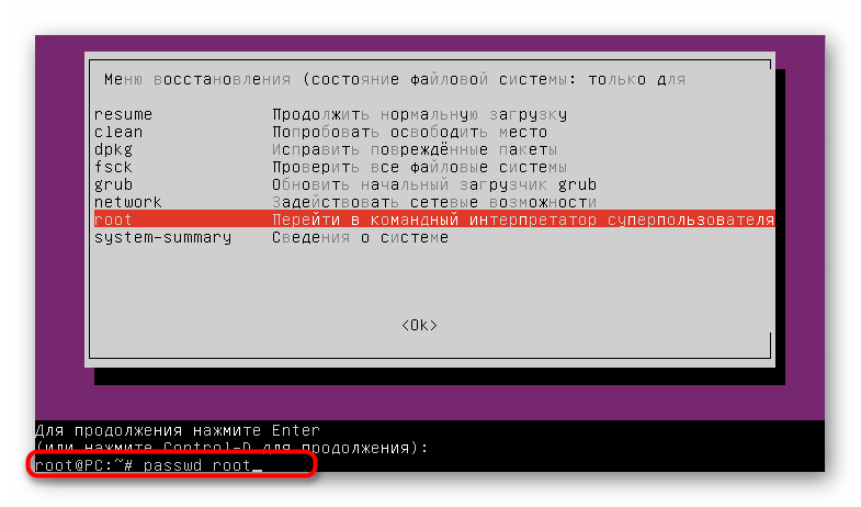 Ввод команды для смены пароля root через режим восстановления Linux