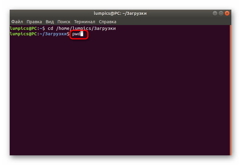 Ввод команды для использования утилиты PWD в Linux