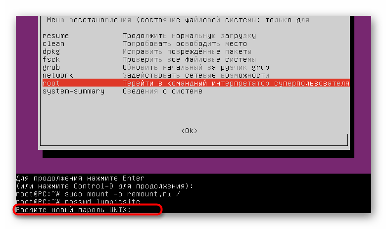 Ввод нового пароля для пользователя в режиме восстановления Ubuntu
