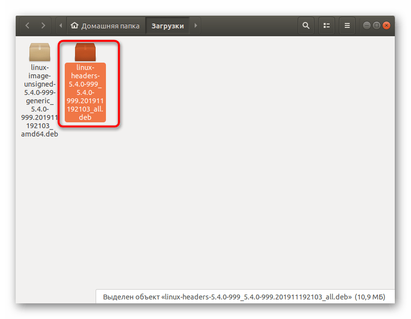 Просмотр сведений о скачанных файлах перед установкой в Ubuntu
