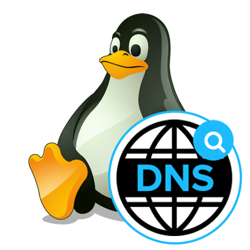 Налаштування DNS в Linux