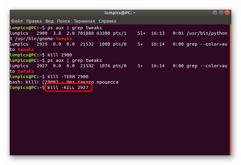 Принудительное убийство процесса через команду kill в Linux