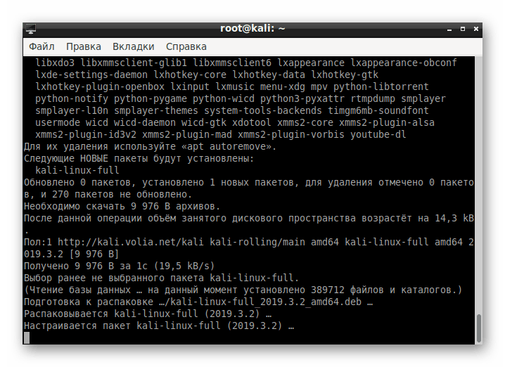 Ожидание завершения исправления ошибок с LXDE в Kali Linux