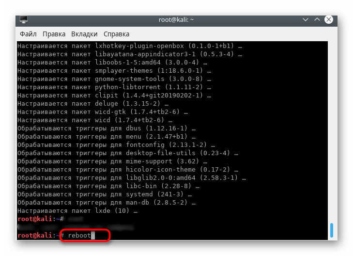 Перезагрузка ПК после установки LXDE в Kali Linux