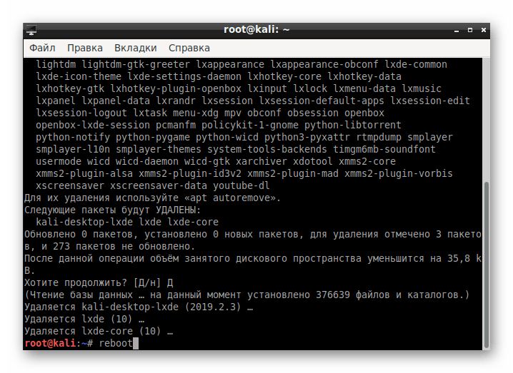 Перезагрузка операционной системы после удаления окружения в Kali Linux
