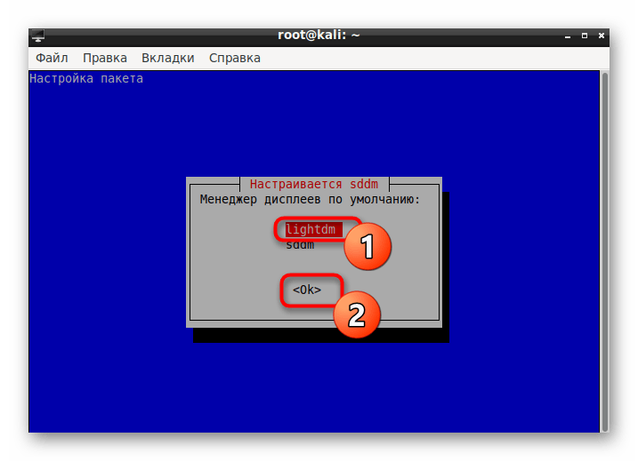 Выбор менеджера дисплеев для нормальной работы KDE в Kali Linux