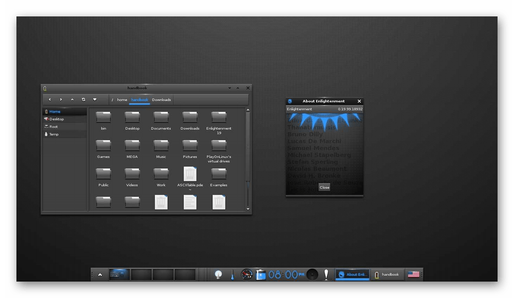 Внешний вид среды рабочего стола Enlightenment для операционных систем Linux
