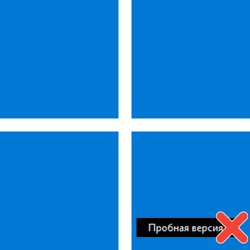 Як прибрати напис «пробна версія Windows 11»