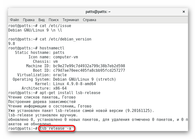 Запуск дополнительной утилиты lsb_release для определения версии Debian